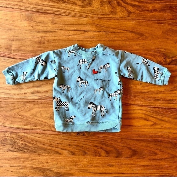 H&M Zebra Sweatshirt 🦓 ❤️ - Picture 1 of 6